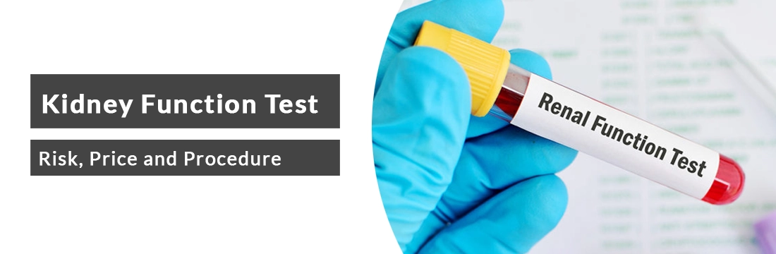 Kidney Function Test: Risk, Price, Procedure